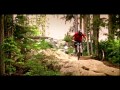 New World Disorder MTB