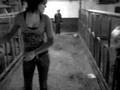 videos de Cassandra ute bland korna :)