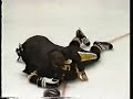 mario lemieux gets slashed in the throat