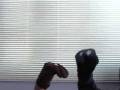 videos de adamchu2002 original 