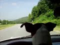 Entering Tennesse from North Carolina on Route 64