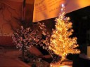 Experimental Christmas tree display