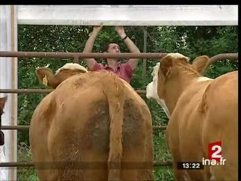 Image de prévisualisation YouTube