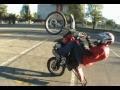Nikaia stunters