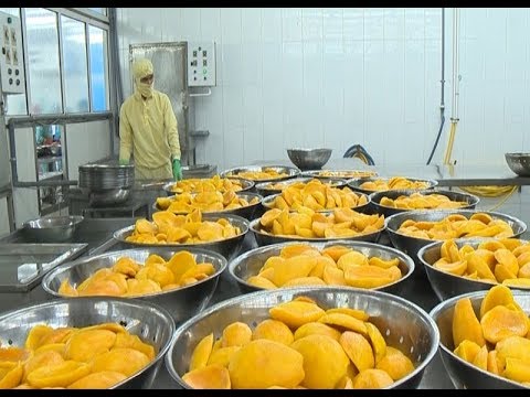 Đẩy mạnh xuất khẩu trái cây tươi sang thị trường Trung Quốc