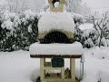 SAVOIE : SAVOIE :