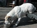 Best position to drink :)