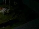 pond