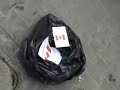 Demonstracja przeciwko polowaniom na foki w Kanadzie