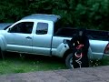 BIGFOOT CAUGHT ON VIDEO BIGFOOT CAUGHT ON VIDEO