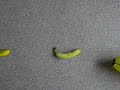 Test/ Bananas