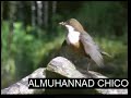 فلم وثائقي الرحمة عند الحيواناتيثبت عكس نظرية التطور