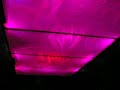 Metalab blinkenceiling