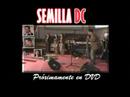 Semilla DC en Vivo