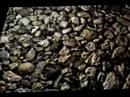 Work-chop-shop - gravel_nm_diff