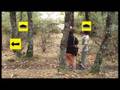 videos de TA20523 (parte de Tube-Adventures 2)