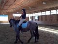 Lily being playful