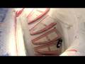 Bertram Yachts Innovator in Spiral Staircase Design 2008 (HQ) - By BoatTEST.com
