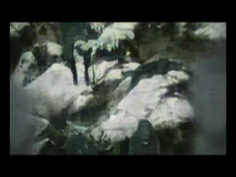 love in war (arme ultime)