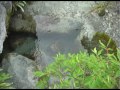 Просмотр видео