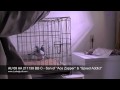 ace zapper son1