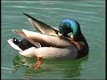 alois am w�rthersee