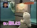 ???? ????