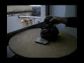 Crónica Sensorial - Construção