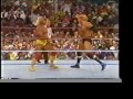 Hulk Hogan Tribute (Version 1)
