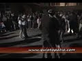 banda felinos