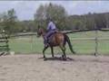 Riding Zefir part 2