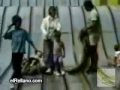 grandes videos chistosos.wmv