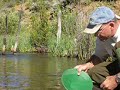 Gold Prospecting Cache Creek, Colorado -- First Day Intro Video