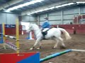 daisy jumping at home!  and a few clips of bozzzy at the end (:I DO NOT CLAIM TO OWN ANY SONG USED IN THIS VIDEO!!!xoxoxox