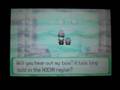 Pokemon-Emerald-Mt-P