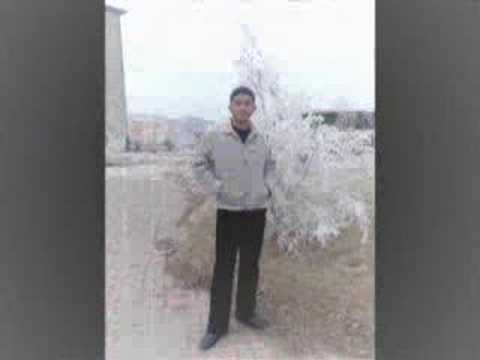 beşir binici