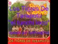 LOS TIGRES DE TARAPOTO - EL TUNCHI LOCO (INFOPESA)