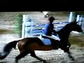 turnier mit cosimo