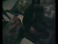 videos de amine kaced