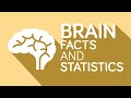 The Infographics Show - Brain