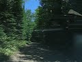 Driving Through The Woods Driving Through The Woods