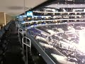 Staples Center - View from Suite