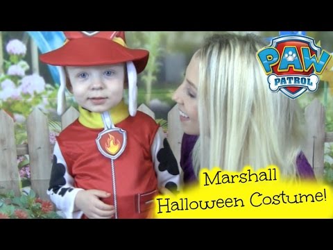 Paw Patrol Marshall Halloween Costume Kids Video Playtime with Paw Patroller and Paw Patrol