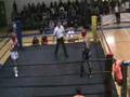 Cenacchi vs Guerri
