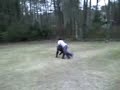 Tabletopping Madness 2