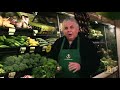 PRO0010 - Brocolli Rabe.mp4