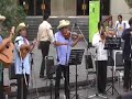 Los diablitos carnaval huasteco Los diablitos carnaval huasteco