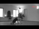 Dynamic Flow Yoga: Revolving Kundinya cycle Dynamic Flow Yoga: Revolving Kundinya cycle