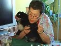 Celebrities and their dogs Celebrities and their dogs