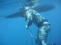 Spearfishing Freediving Yellowfin Tuna Puerto Rico Spearfishing Freediving Yellowfin Tuna Puerto Rico